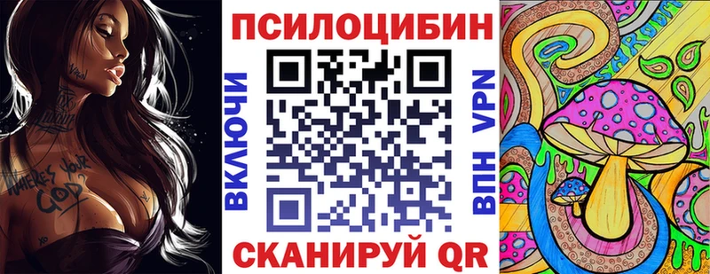 где купить наркоту  Черногорск  Псилоцибиновые грибы Psilocybe 