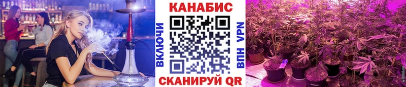 Канабис семена  наркошоп  Черногорск 